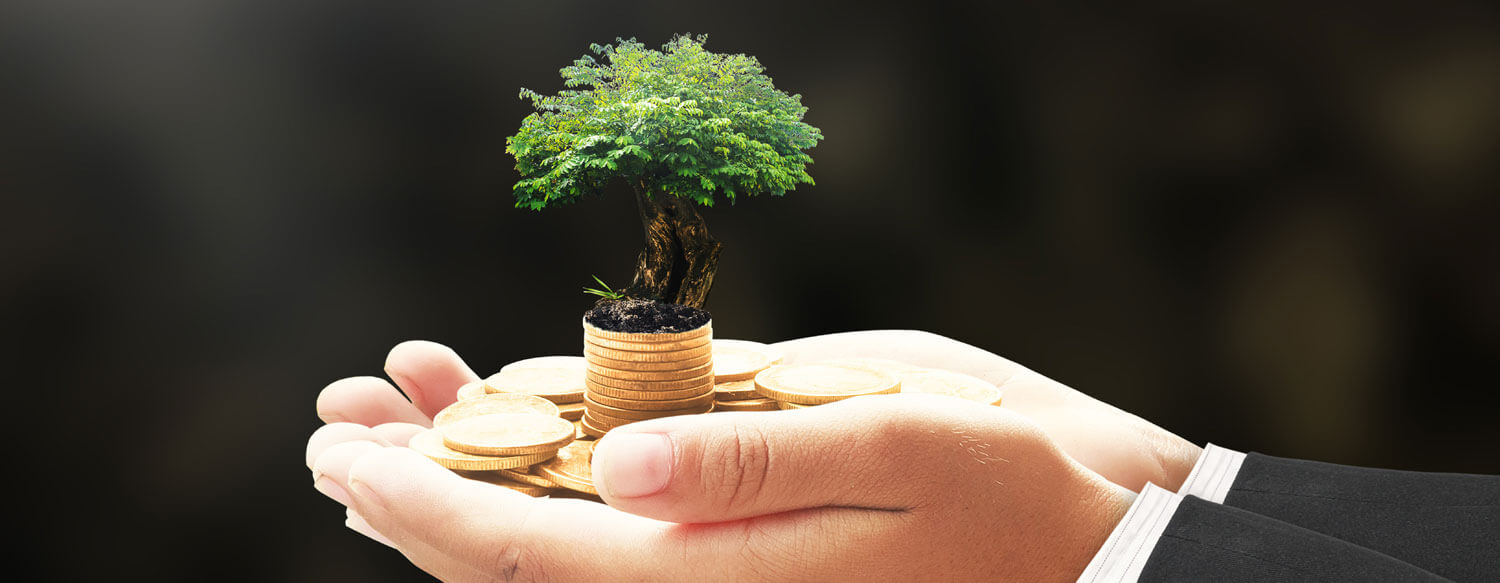 CPAs for startups